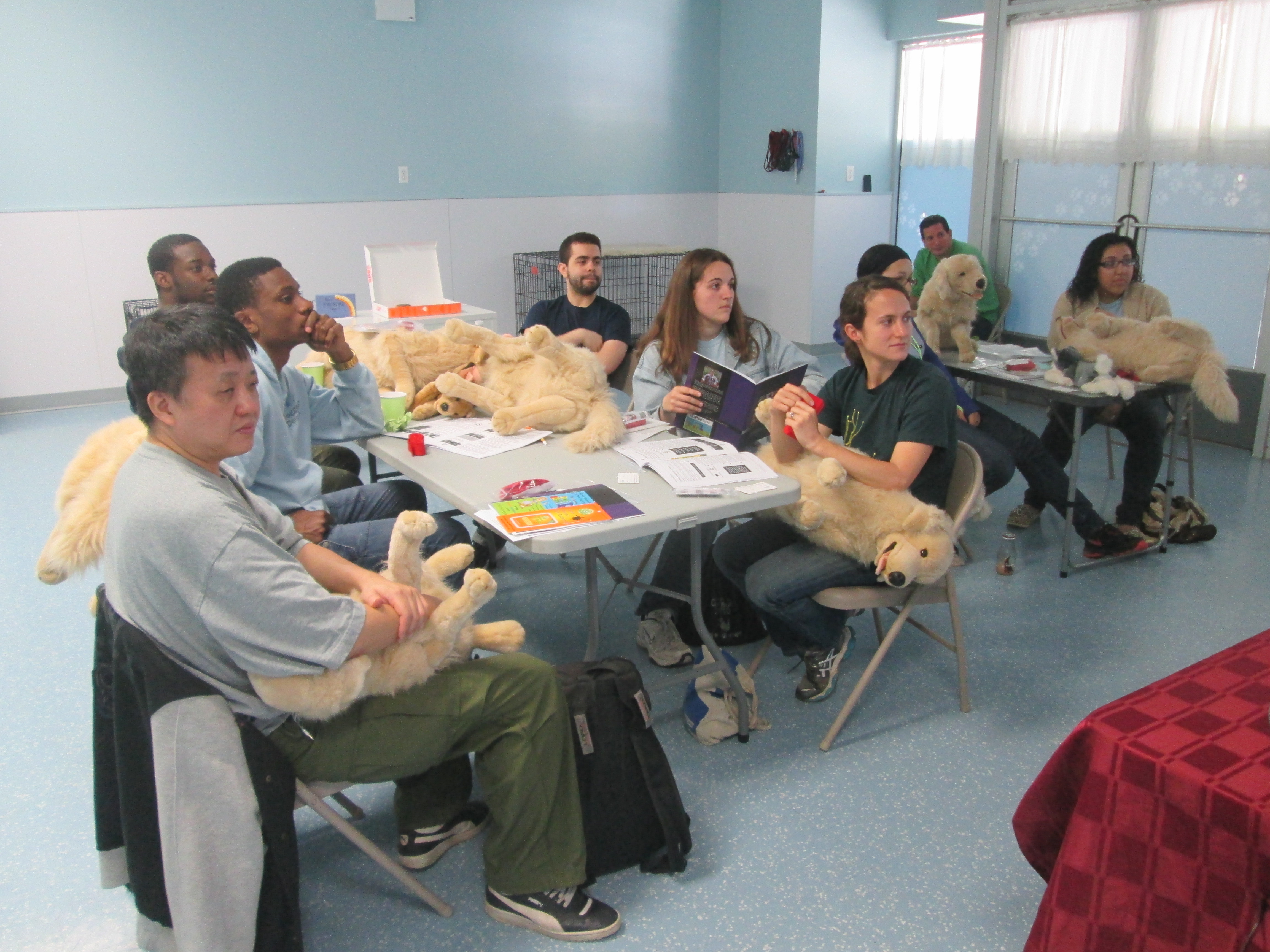 Pet First Aid Class 2014